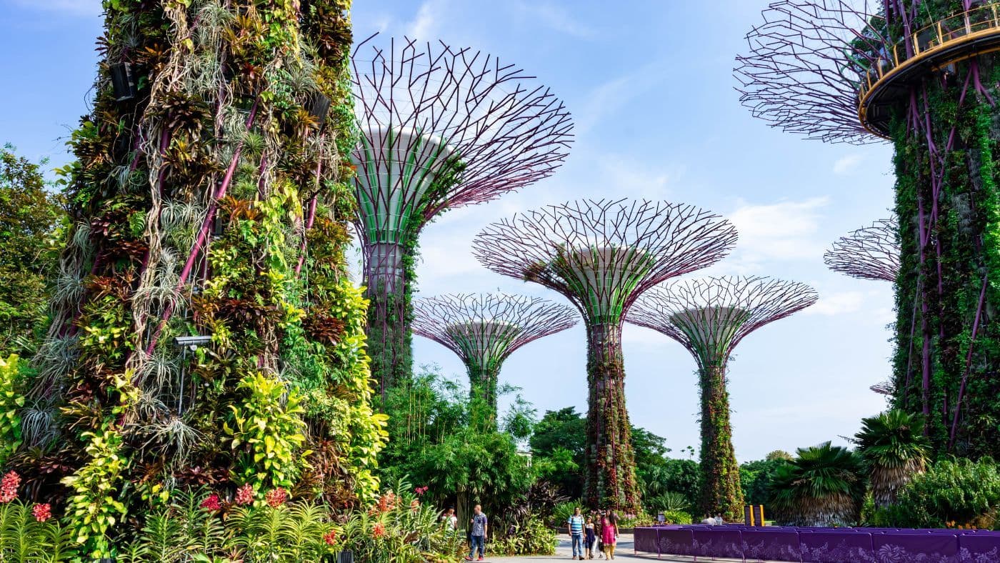 Supertree Gardens by the Bay in Singapore