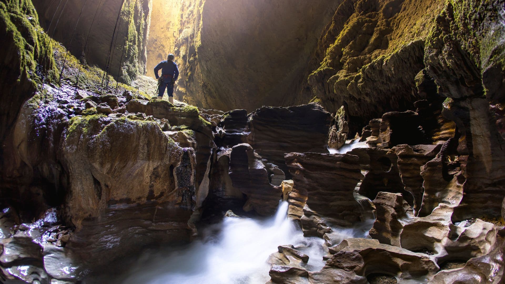 Waikato cave in Waikato, New Zealand